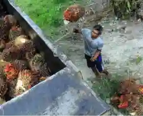 Strategi OKS Bank Indonesia Jadi Kunci Pertumbuhan Ekonomi Riau