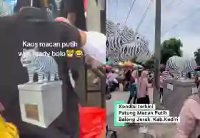 Patung Macan Putih yang Viral di Kediri Kini Jadi Ladang Cuan