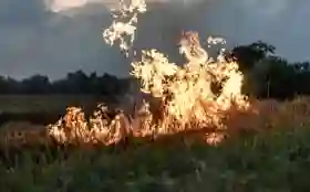 Riau Puncaki Jumlah Hotspot di Sumatera, BMKG Deteksi 100 Titik Panas