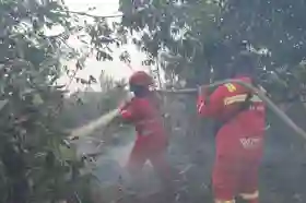 Perkuat Sinergi, BPBD Damkar Riau Gelar Rapat Koordinasi Penanganan Karhutla Lintas Daerah