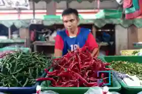 Pastikan Stok Pangan Aman, Plt Gubri dan Sekda Riau Tinjau Pasar Murah Siang Ini