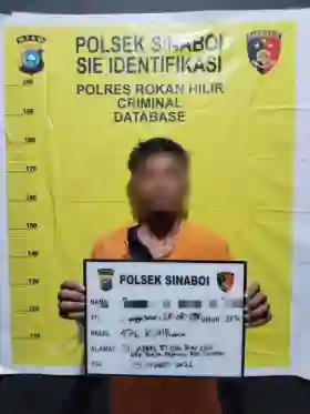 Polsek Sinaboi Amankan Terduga Pelaku Pencurian Buah Kelapa Sawit  