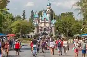 Barang Favorit Gen Z Ini Dilarang Masuk ke Disneyland