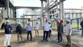 Ketahanan Pangan dan Energi, RI Siapkan Hilirisasi Ubi Kayu