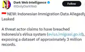 Geger 3 Juta Data di Sistem eVisa Bocor, Imigrasi: Hoaks!