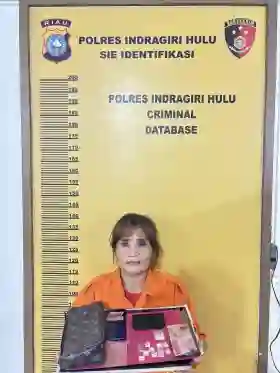 IRT Warga Desa Sungai Beringin Rengat Jadi Pengedar Narkoba, Pemasok Diringkus Sembunyi Diwisma