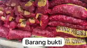 Penyeludupan 7,5 Ton Bawang Merah Ilegal dari Luar Negeri.