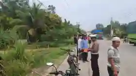 Mahasiswi Tewas Ditabrak Truk Sawit dari Belakang Saat Menyalip di Jalintim Pelalawan 