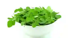 Daun Kelor Kaya Antioksidan, Dapat Sehatkan Jantung hingga Mengatur Gula Darah
