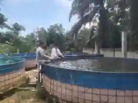 Swasembada Pangan Dengan Ikan Lele, Bhabinkamtibmas Polsek Kelayang Dampingi Warga Langsung