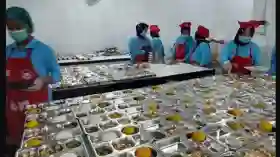 Program MBG Dinilai Perkuat Ekonomi Kerakyatan Lewat Dapur SPPG di Daerah.