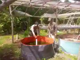 Polsek Merbau Dorong Produktivitas Peternak Ikan Dukung Ketahanan Pangan