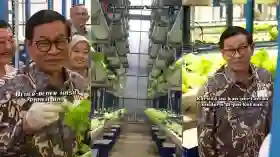 Menuju Kota Global, Jakarta Perkuat Ketahanan Pangan dari Hulu ke Hilir.