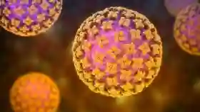 23 Kasus Hantavirus Terdeteksi di Indonesia, Ini Gejala yang Dirasakan