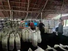 Dapur Arang Ilegal di Kepulauan Meranti Digerebek, Tiga Tersangka Terancam Denda Rp5 Miliar