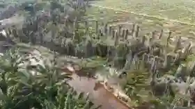 Breaking News: Korporasi Sawit di Pelalawan Ditetapkan Jadi Tersangka Pengrusakan Lingkungan.
