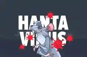 Hantavirus Belum Ditemukan di Riau, Masyarakat Diimbau Jaga Kebersihan