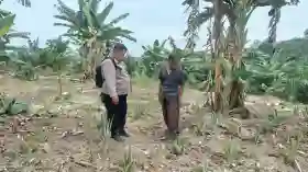 Polres Inhu Tingkatkan Kesadaran Masyarakat Pentingnya Ketahanan Pangan, Manfaatkan Lahan Secara Produktif