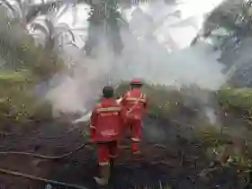 Manggala Agni Fokus Pendinginan Lahan Gambut Rohil dan Siak