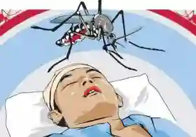 Rokan Hilir Catat Kasus DBD Tertinggi di Riau Sepanjang Awal Tahun
