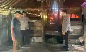  Dukung Swasembada Pangan, Personil KSKP Polres Inhil Berikan Penyuluhan Kiat Sukses ke Peternak Sapi