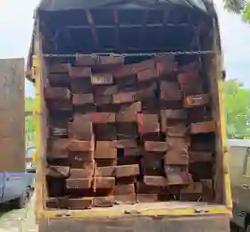 Polda Riau Tangkap Sopir Truk Kayu Ilegal dari Giam Siak Kecil, Aktor Utama Diburu
