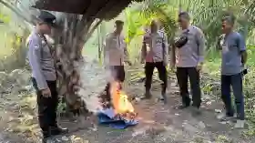 Kebun Sawit di Pujud Rohil Jadi Sarang Pengguna Narkoba, Polisi Temukan Bong Bekas Pakai.