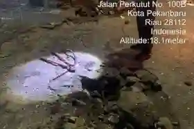 Petugas Dishub Pekanbaru Gagalkan Dugaan Pencurian Kabel Bawah Tanah