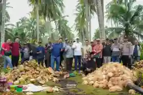 Delegasi Malaysia Lirik Potensi Besar Kelapa Rangsang Meranti