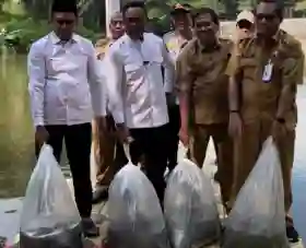  Dukung Ketahanan Pangan, Pemkab Pelalawan Tebar 30 Ribu Bibit Ikan Patin di Areal Perkantoran Bakti Praja