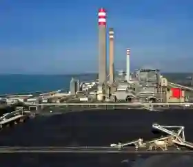 Serbuk Sorgum Ternyata Jadi Sumber Energi untuk Pembangkit Listrik Tenaga Uap