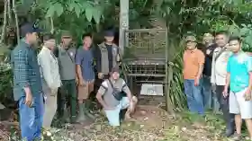 Beruang Madu Masuk ke Pemukiman Warga Kerumutan Pelalawan, Tim BKSDA Riau Pasang Box Trap.