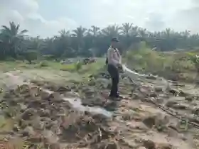  Bhabinkamtibmas di Ukui Pelalawan Pantau Perawatan Jagung Pipil
