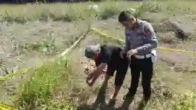 Olah TKP Mayat Pria di Semak-semak Pinggir Jalan Lintas Kuansing, Polisi Ungkap Dugaan Kematian 