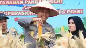 Polres Siak Kelola 93,6 Hektare Lahan Jagung, Dukung Program Swasembada Pangan.