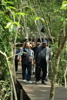 Wakil Bupati Siak Resmikan Rumah Bibit Mangrove di Kampung Kayu Ara Permai