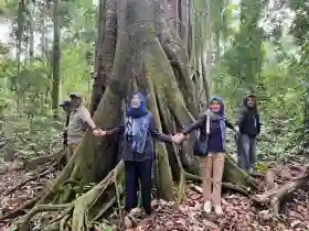  Menjaga Warisan Leluhur, Dirjend Perhutanan Sosial Kunjungi Hutan Adat Imbo Putui Kenegerian Petapahan
