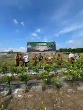 TPID Riau Tanam Cabai, Siapkan Instrumen Kendalikan Inflasi Pangan