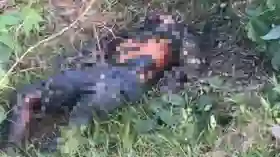 Heboh Penemuan Mayat di Tepi Jalan Tapung Hulu Kampar, Jasad Terikat Kawat