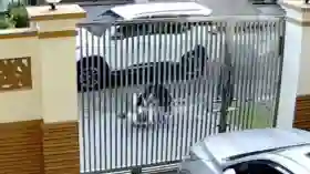 Otak Penculikan Kakek 70 Tahun di PIK Ternyata Mantan Pacar Anak Korban, Penyebabnya Cinta Tak Direstui