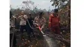 Breaking News: Karhutla di Rupat Sudah Padam, Luas Lahan Terbakar 8 Hektare   