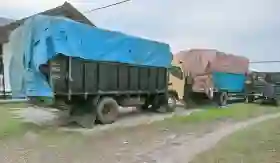  Diduga Angkut Kayu Ilegal, Dua Unit Colt Diesel Ditinggalkan di Wilayah Bunut