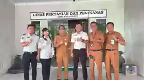 Perkuat Pembinaan Kemandirian, Lapas Pekanbaru Gandeng Distankan Pekanbaru Budidayakan Ayam Petelur Tayang: Jumat, 19 Juni 2026 19:36 WIB  