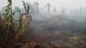 Rokan Hilir Membara, 24 Titik Panas Kepung Wilayah Riau
