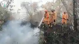 Setelah Siak, Tim Gabungan Fokus Tangani Karhutla di Dumai
