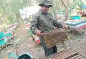 Kisah Bambang Sugeng Bangun Usaha Madu Sekaligus Jadi Penjaga Hutan