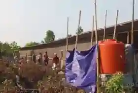Bau Busuk Kandang Ayam Resahkan Warga Rimbo Panjang, Kades Dinilai Lamban Turun Tangan
