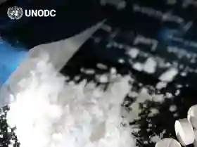  Laporan UNODC 2026: Peredaran Narkoba Global Semakin Kompleks dan Sulit Dibendung