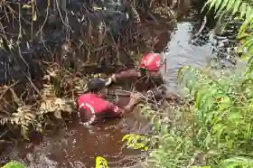 Luas Lahan Terbakar di Pematang Pudu Bengkalis Capai 81 Hektare, Pasukan Manggala Agni Terpaksa Kuras Kanal Cacing