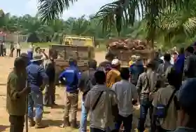  PTPN IV Tempuh Jalur Hukum Hadapi Sindikat Maling Sawit di Sei Berlian, Kampar